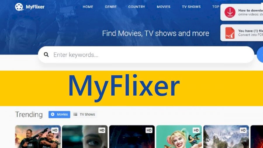 What is MyFlixer?