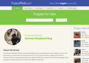 Best Puppyfind.com Alternatives