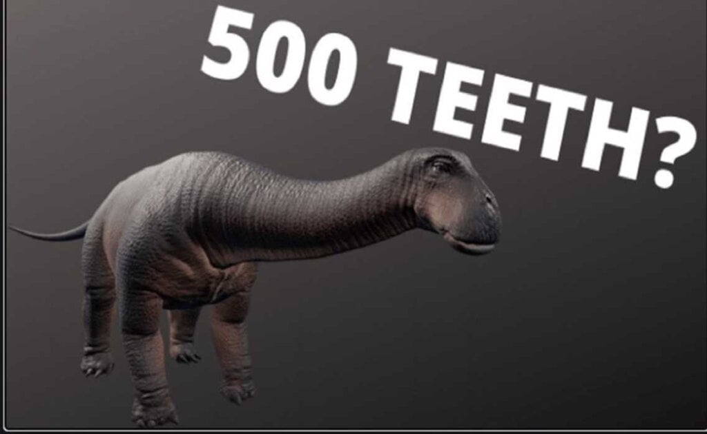 What dinosaur has 500 teeth?